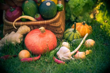 sepeti renkli sebze çim Bahçe