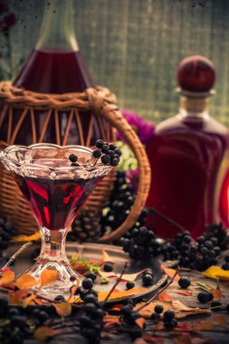 Hediyeler sonbahar mutfak tatlı aromatik içecek tentür chokeberry