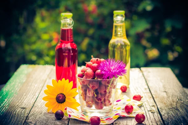 Sommer Dessert Garten Obst Stachelbeere bunte Getränke — Stockfoto