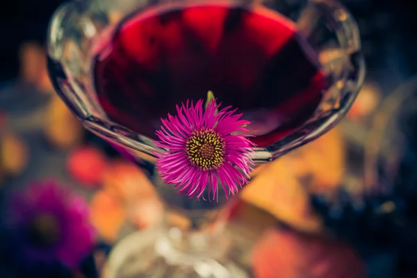 Tintura de copa de alcohol aromático chokeberry — Foto de Stock