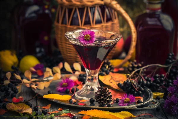 Hediyeler sonbahar mutfak tatlı aromatik içecek tentür chokeberry — Stok fotoğraf
