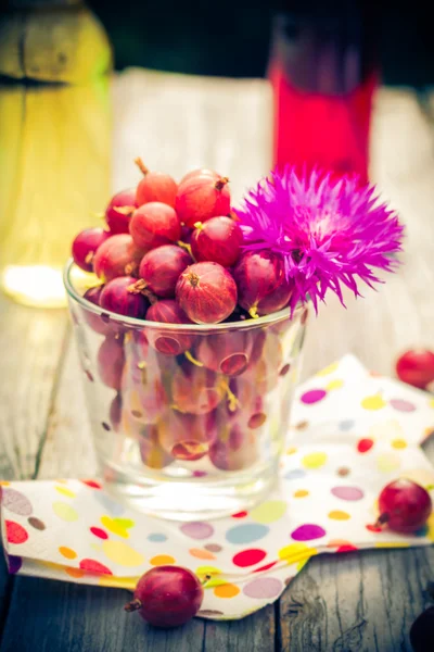 Letni deser ogród owoc agrestu kolorowe napoje — Zdjęcie stockowe