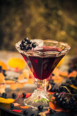 Hediyeler sonbahar mutfak tatlı aromatik içecek tentür chokeberry