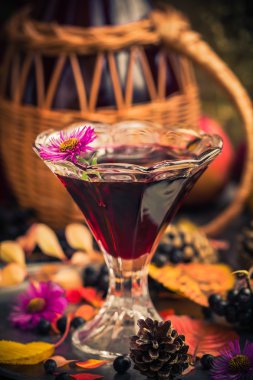 Hediyeler sonbahar mutfak tatlı aromatik içecek tentür chokeberry