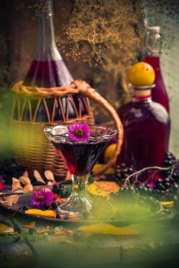 Hediyeler sonbahar mutfak tatlı aromatik içecek tentür chokeberry