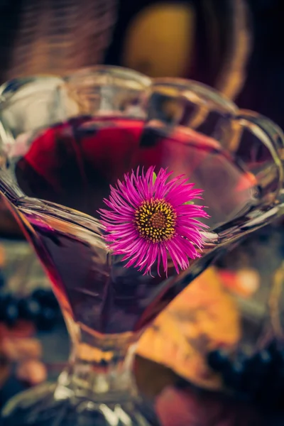 Aromatic alcool ceașcă tinctură chokeberry — Fotografie, imagine de stoc