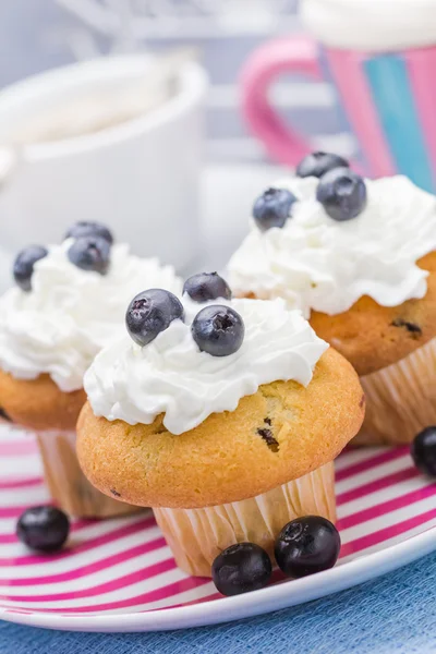 Dolce deliziosa crema di muffin mirtilli rossi — Foto Stock