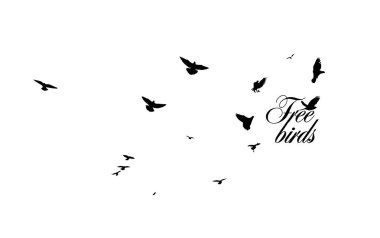 Uçan bir kuş sürüsü. Vektör illüstrasyonu