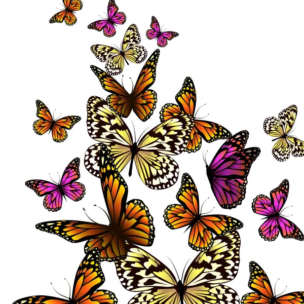 Mariposas Naranjas Voladoras Ilustración Vectorial — Archivo Imágenes Vectoriales