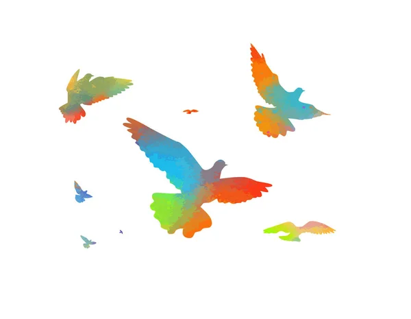 Vogelaquarel Een Kudde Kleurrijke Vogels Vector — Stockvector