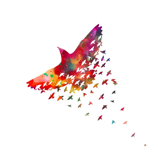 Птичий Акварель Стая Разноцветных Птиц Вектор — стоковый вектор