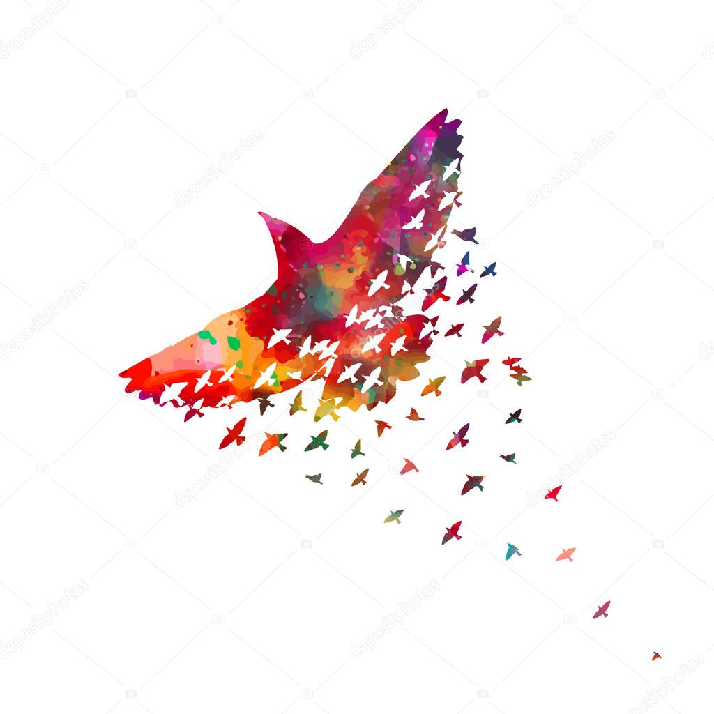 Bird watercolor. A flock of colorful birds. Vector