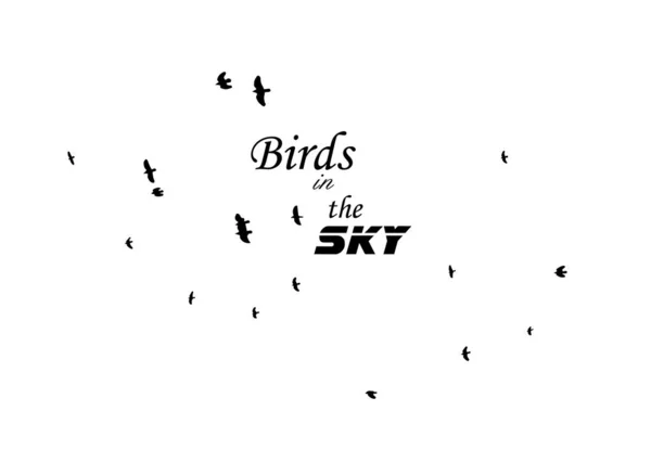 Een Zwerm Vliegende Vogels Vectorillustratie — Stockvector