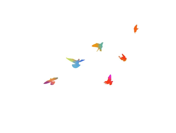 Aquarelle Oiseau Troupeau Oiseaux Colorés Vecteur — Image vectorielle