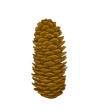 Yılbaşı 2020 kışında köknar şube vektörü illüstrasyonunda artış