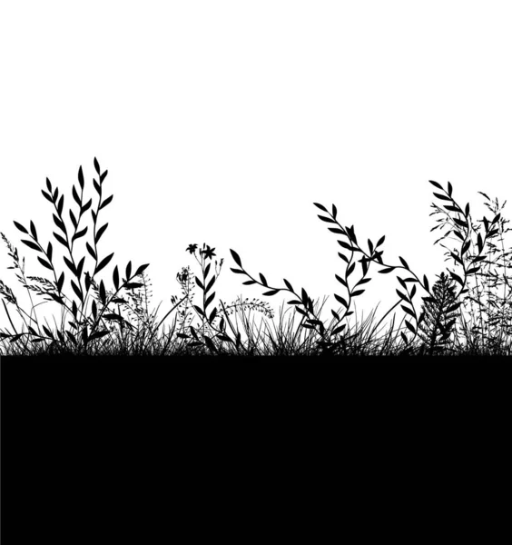 Abstrakter Hintergrund Mit Schwarzen Silhouetten Von Wiesenwildkräutern Und Blumen Wildblumen — Stockvektor
