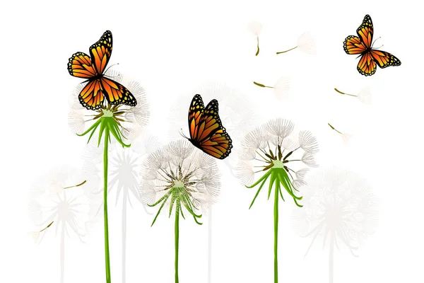Dandelions with butterflies. Vector illustration
