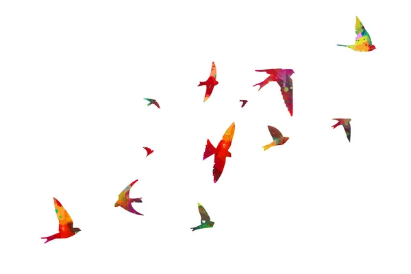 Acuarela Pájaros Una Bandada Pájaros Colores Vector — Archivo Imágenes Vectoriales