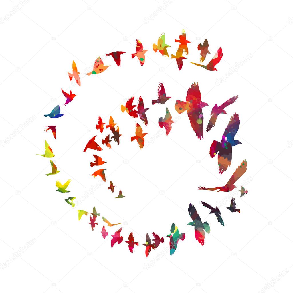 Bird watercolor. A flock of colorful birds. Vector