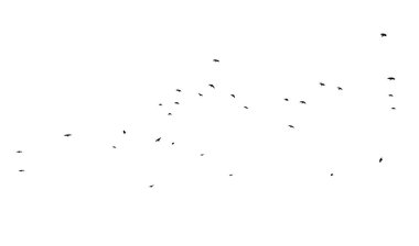 Uçan bir kuş sürüsü. Vektör illüstrasyonu