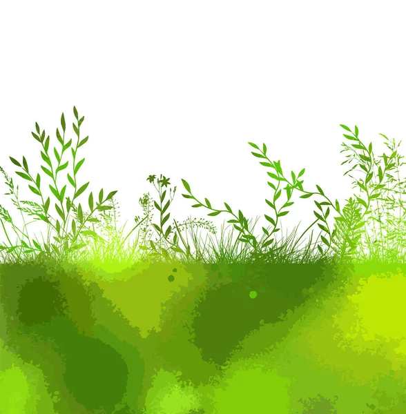 Fond Abstrait Avec Des Silhouettes Herbes Sauvages Prairie Fleurs Fleurs — Image vectorielle