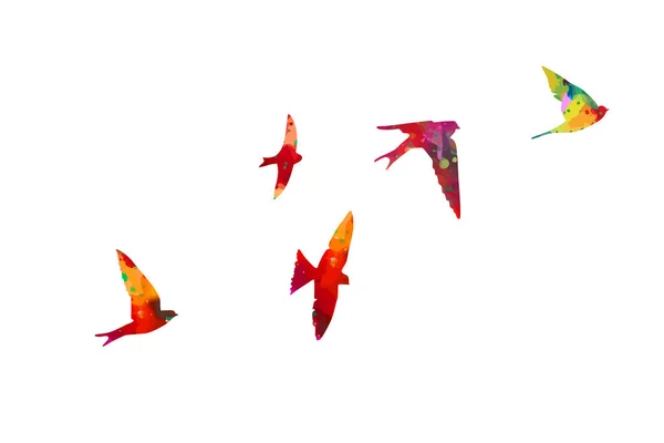 Vogelaquarel Een Kudde Kleurrijke Vogels Vector — Stockvector