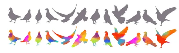 Acuarela Pájaros Una Bandada Pájaros Colores Vector — Vector de stock