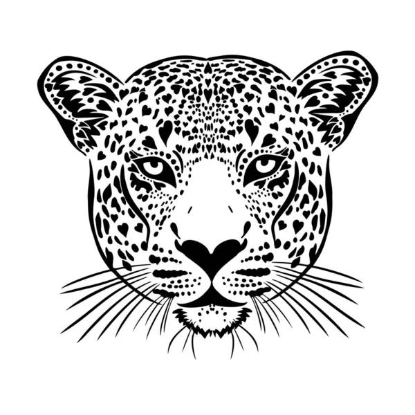 Black White Vector Sketch Leopard Face — Stock Vector