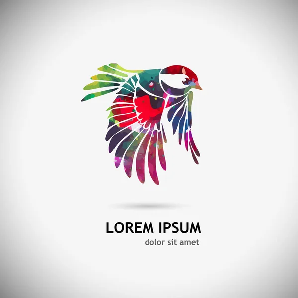 Oiseau Décoratif Volant Multicolore Illustration Vectorielle — Image vectorielle