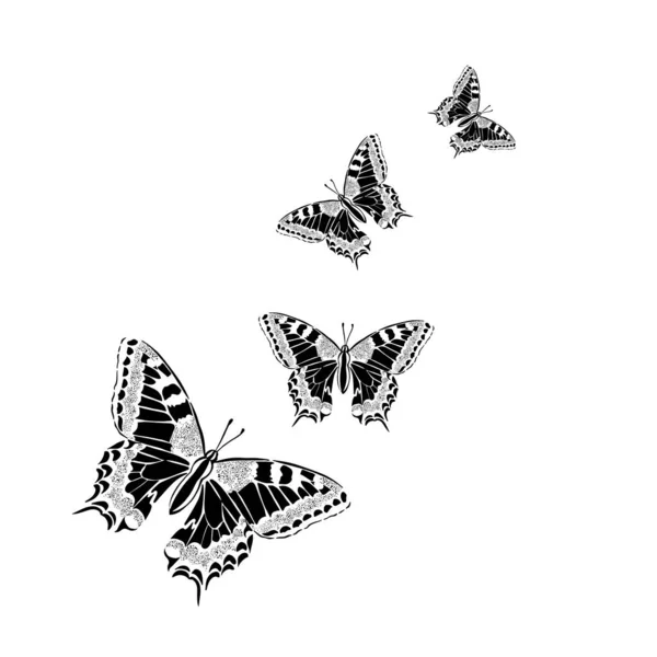 白い背景に熱帯蝶 ベクトル — ストックベクタ