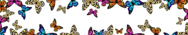Ein Langer Horizontaler Rahmen Mit Schmetterlingen Vektorillustration — Stockvektor
