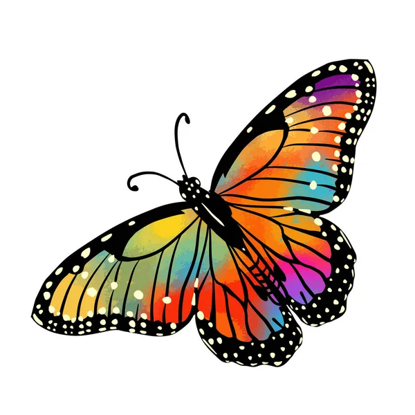 Mariposa Abstracta Multicolor Vector — Vector de stock