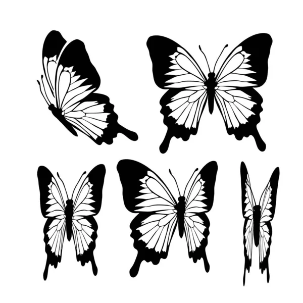 Farfalla Tropicale Sfondo Bianco Vettore — Vettoriale Stock
