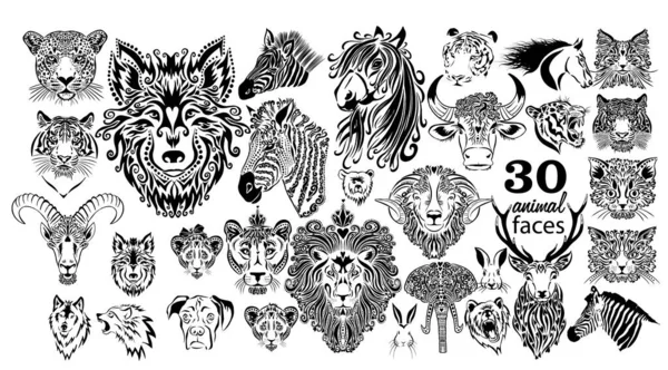 Zbiór zwierzęcych twarzy. Graficzne kagańce zwierząt. Ilustracja wektora — Wektor stockowy