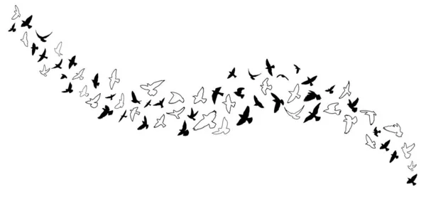 Um bando de pássaros voadores. Ilustração vetorial — Vetor de Stock