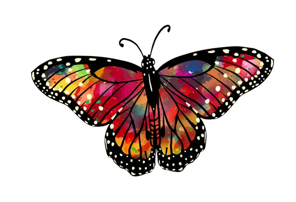 La mariposa abstracta es multicolor. Ilustración vectorial — Vector de stock