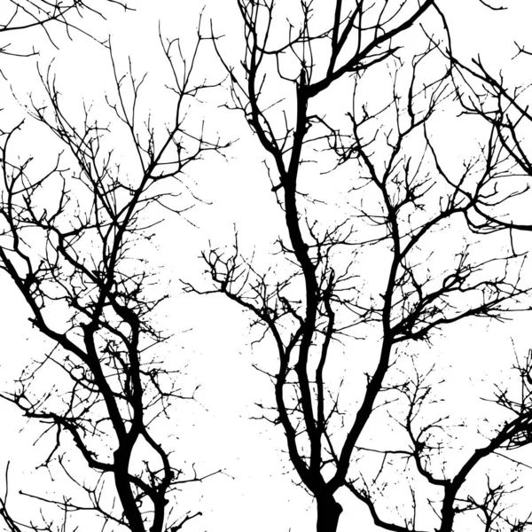 Arrière-plan avec des silhouettes de branches nues d'arbres. Illustration vectorielle — Image vectorielle