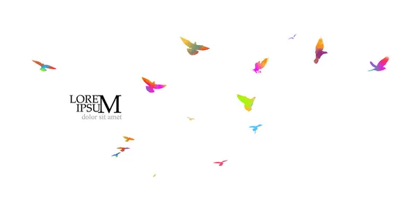 Acuarela de pájaros. Una bandada de pájaros de colores. Medios mixtos. Ilustración vectorial — Vector de stock