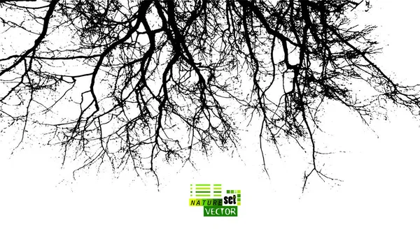 Hintergrund mit Silhouetten nackter Äste von Bäumen. Vektorillustration — Stockvektor