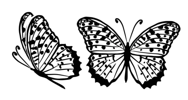 Mariposas blancas y negras voladoras gráficas. Ilustración vectorial. Mariposa tropical sobre fondo blanco — Archivo Imágenes Vectoriales