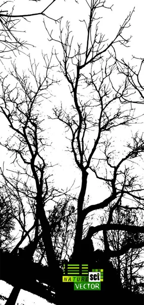 Фон з силуетами голих гілок дерев. Векторні ілюстрації — стоковий вектор