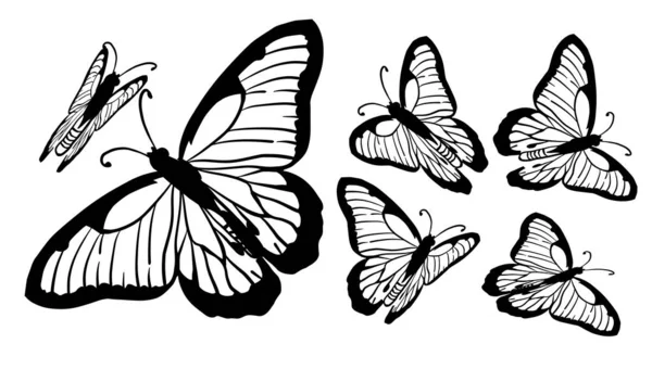 Ensemble de papillons monochromes gracieux. Illustration vectorielle — Image vectorielle