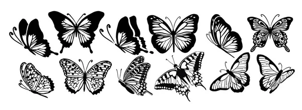 Set Papillons graphiques volants noirs et blancs. Illustration vectorielle. Papillon tropical sur fond blanc — Image vectorielle