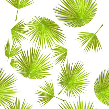 Palmiye yapraklarının pürüzsüz bir geçmişi vardır. Vektör illüstrasyonu