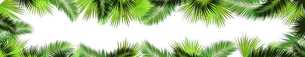 A Long horizontal frame of palm leaves. Hello summer. Vector illustration — Stock Vector