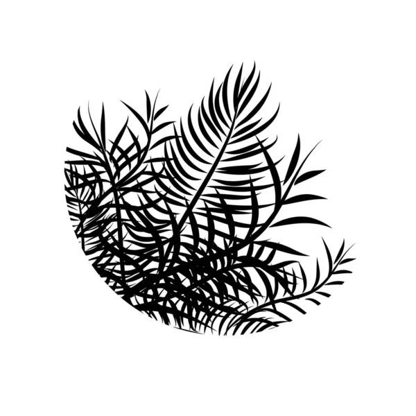 Un objet palmier. Illustration vectorielle. Logo palmier. — Image vectorielle