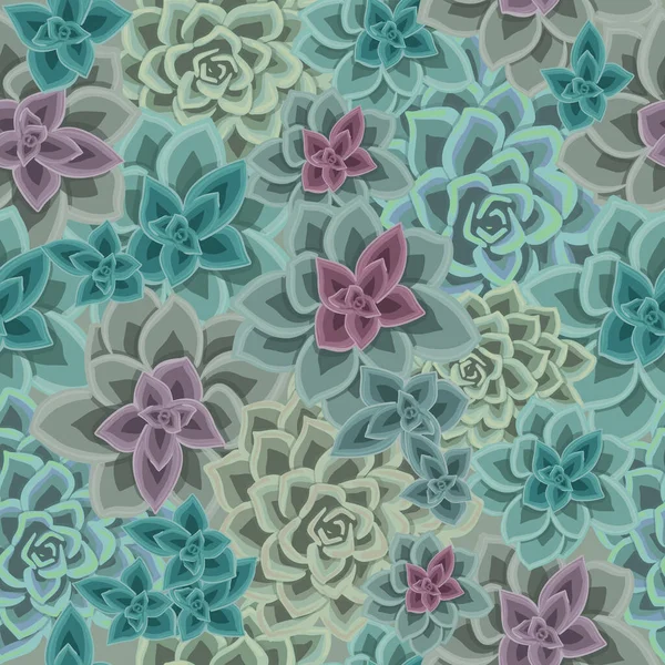 Fond sans couture avec des succulents. Illustration florale vectorielle — Image vectorielle