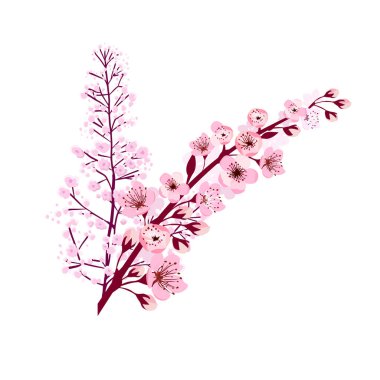 Bir sakura dalı. Vektör illüstrasyonu