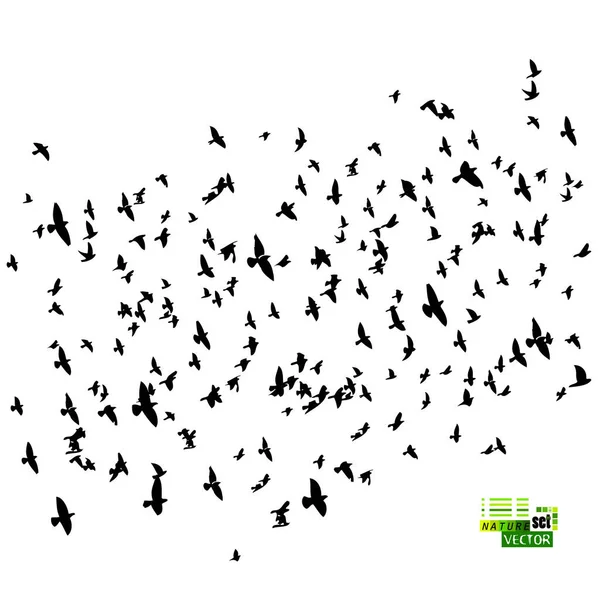 空飛ぶ鳥の群れ ベクターイラスト — ストックベクタ