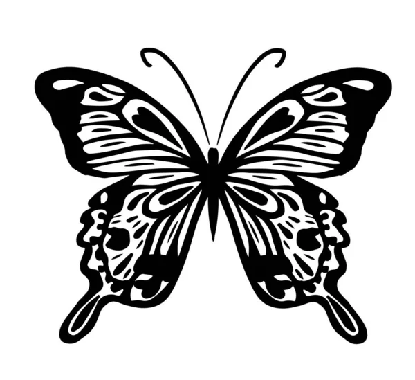Графическая летающая черно-белая бабочка. Векторная иллюстрация. Тропическая бабочка на белом фоне — стоковый вектор